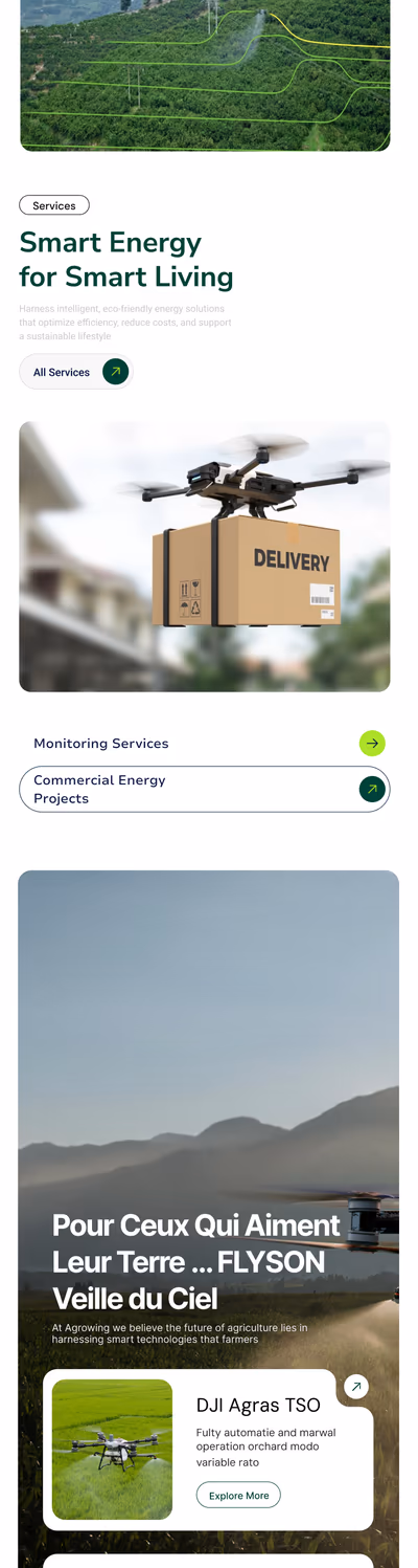 Sitio Flyzon — móvil
